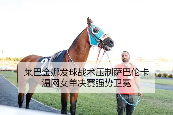 莱巴金娜发球战术压制萨巴伦卡 温网女单决赛强势卫冕